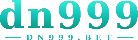 dn999 logo